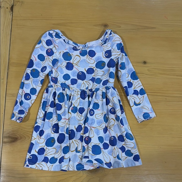 Tea Collection Other - Tea Collection White and Blue Long Sleeve Scoop Neck Top